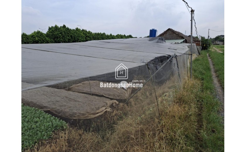 Rẻ! Đất 2.9tr/m² 0.3Ha – Xuân Thới Thượng 2 HM
